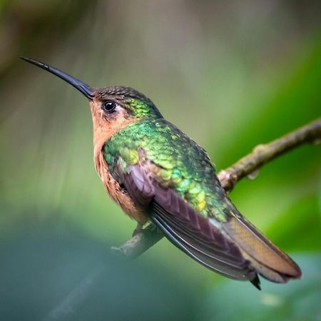Casa Carolina Konuk evi San Lucas Sacatepéquez Dış mekan fotoğraf